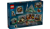 LEGO Harry Potter 76428 Hagrid kunyhója: Egy váratlan látogatás