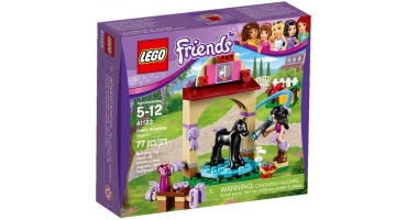 LEGO Friends 41123 Kiscsikó csutakoló
