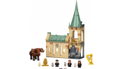 LEGO Harry Potter 76387 Roxfort™: Találkozás Bolyhoskával