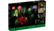 LEGO Botanical Collection 10309 Pozsgások