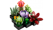 LEGO Botanical Collection 10309 Pozsgások