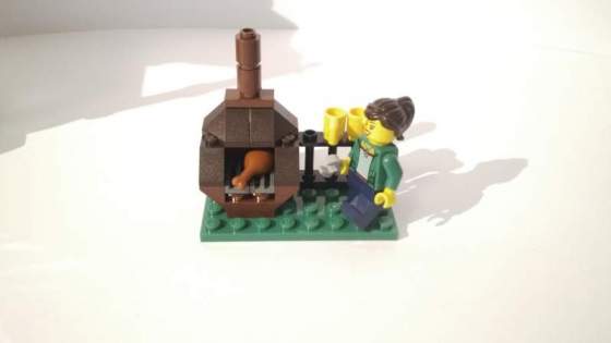 16Kirandulas-a-termeszetben-LEGO-CREATOR-31052.jpg