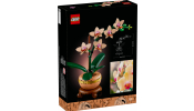 LEGO Botanical Collection 10343 Mini orchidea