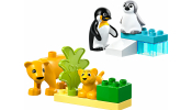 LEGO DUPLO 10442 Állatcsaládok a vadvilágban: Pingvinek és oroszlánok