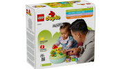 LEGO 10441 Formaválogató: Kutyusház