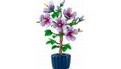 LEGO Botanical Collection 10372 Hibiszkusz