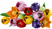 LEGO Botanical Collection 11501 Tulipáncsokor