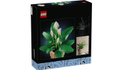LEGO Botanical Collection 11504 Vitorlavirág
