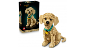 LEGO 11384 Golden retriever kutyus