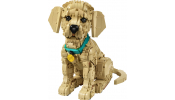LEGO 11384 Golden retriever kutyus