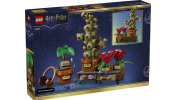 LEGO 76474 A Roxfort™-i gyógynövénytanóra növényei