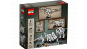 LEGO 21320 Dinoszaurusz maradványok