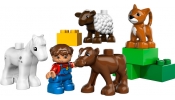 LEGO DUPLO 66344 DUPLO csomag (5643+5644+5645+5646)