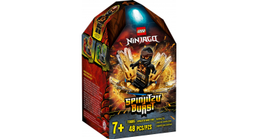 LEGO Ninjago™ 70685 Spinjitzu Villanás - Cole